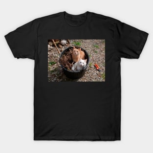 Two Cats in Garden Tub T-Shirt